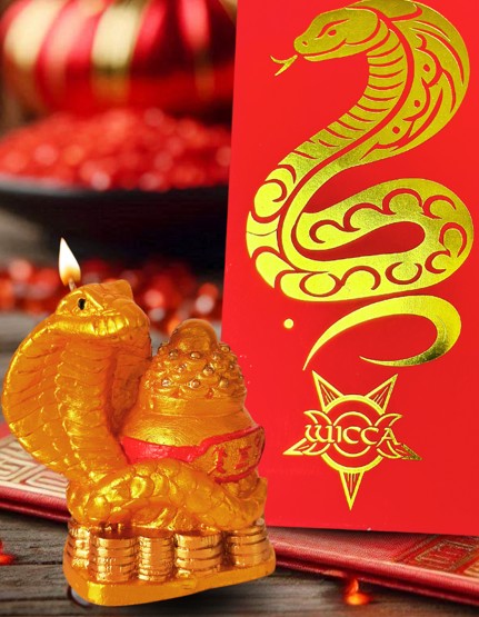 Vela de la Serpiente (Luna Nueva) De Renacimiento y Protección