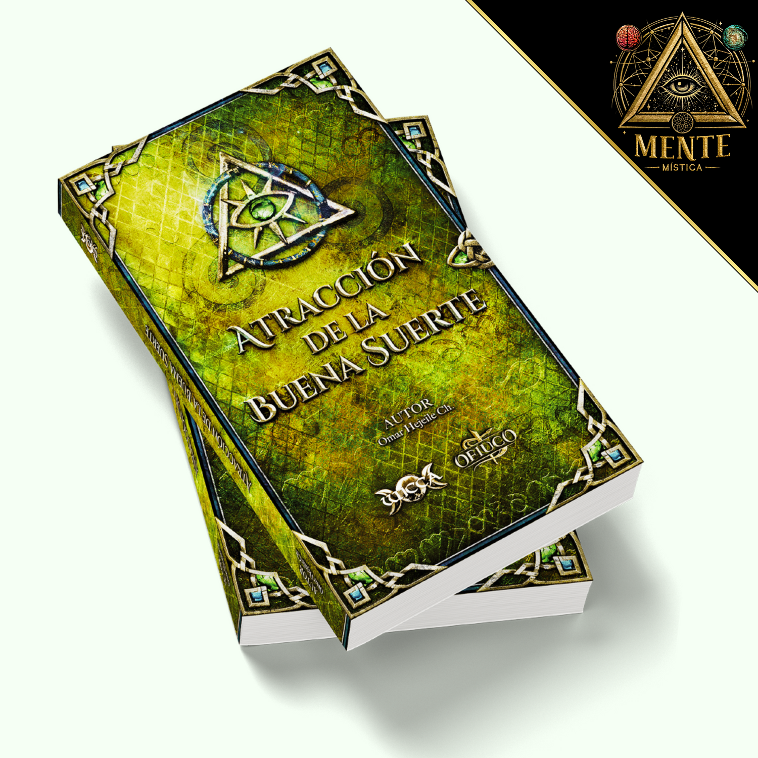 Libro Atracción de la Buena Suerte – Cómo Atraer Riqueza y Abundancia con la Energía Correcta