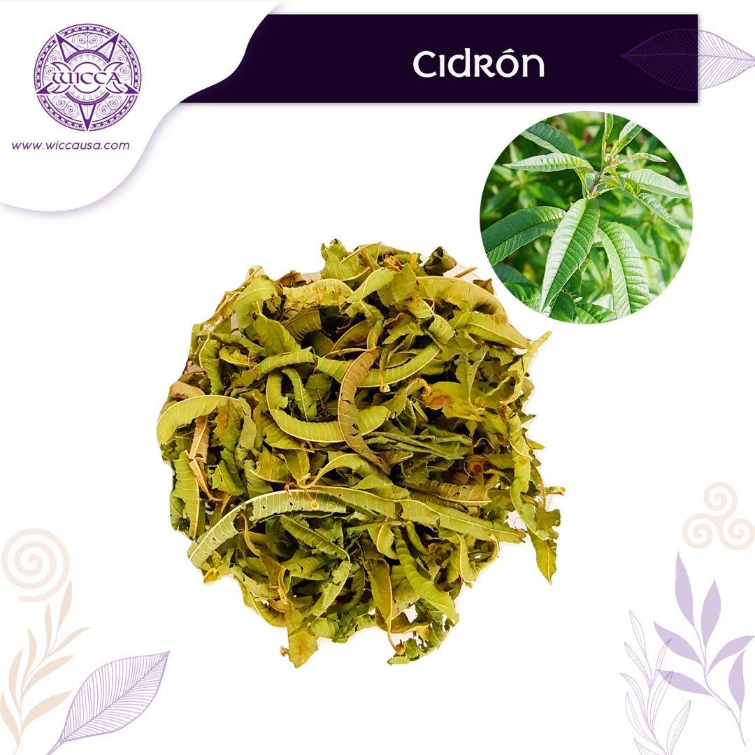 Herbalist: Cidron Herb: Reveal the mystical secrets of this powerful plant!