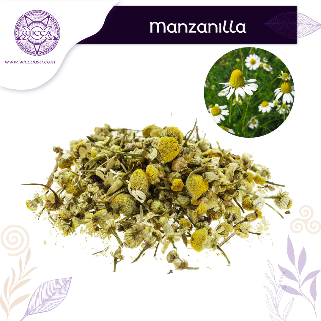 Herbalist: Chamomile For Relaxation