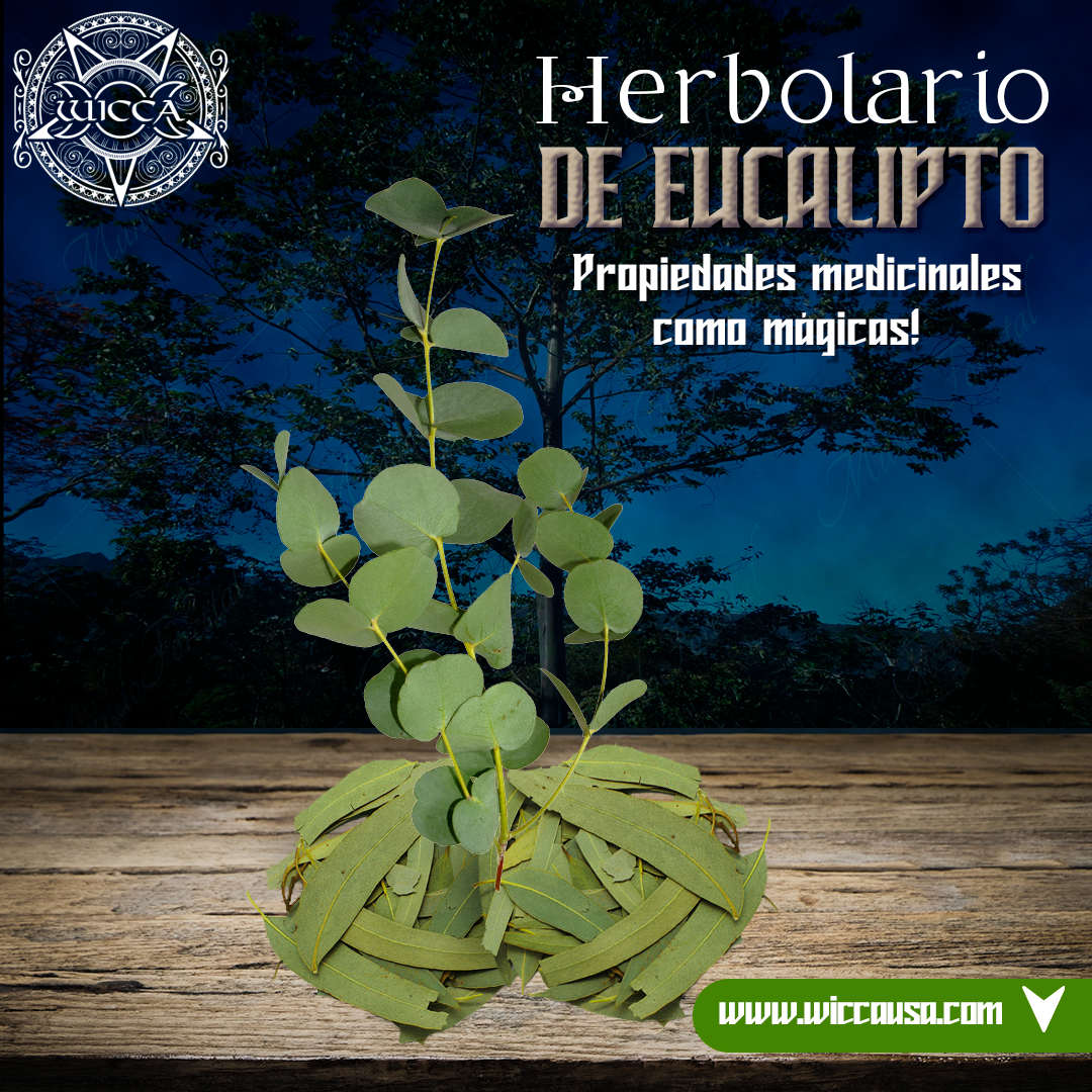 Herbalist: Mystical Eucalyptus: Boost your Well-being and Spiritual Energy