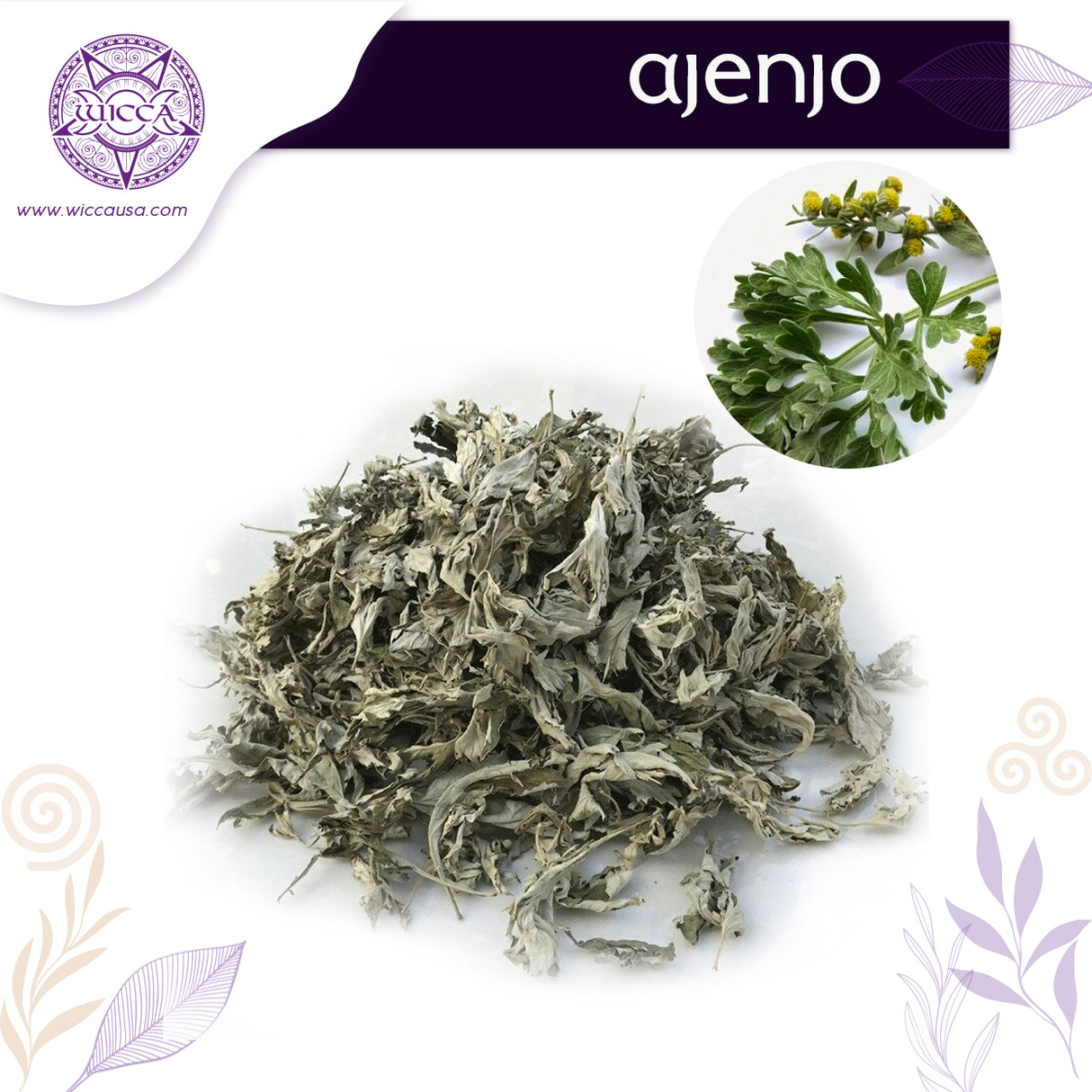 Herbolario: Ajenjo Protector: Encuentra Fuerza y Defensa.