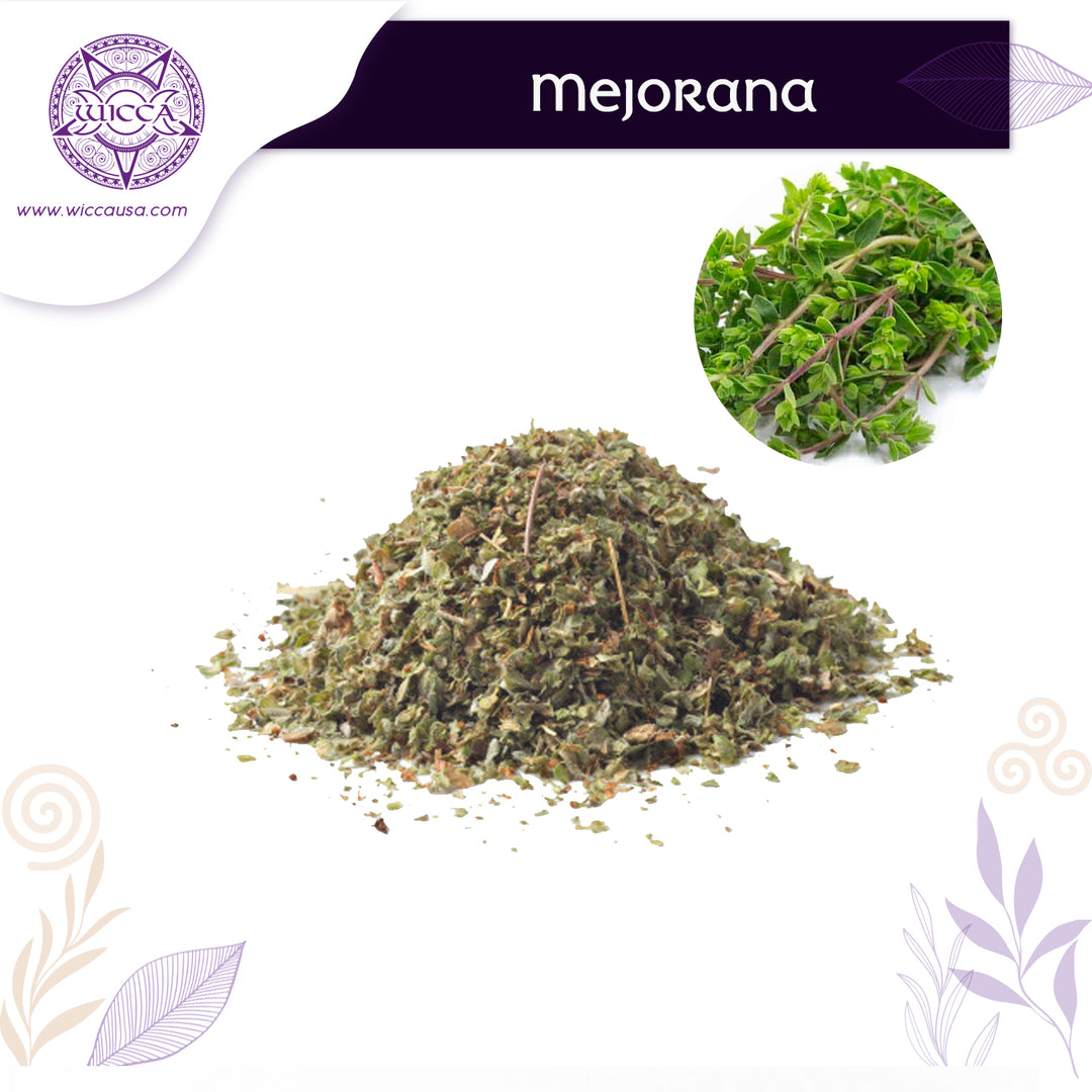 Herbalist: Marjoram Plant the Mystical Elixir of Harmony
