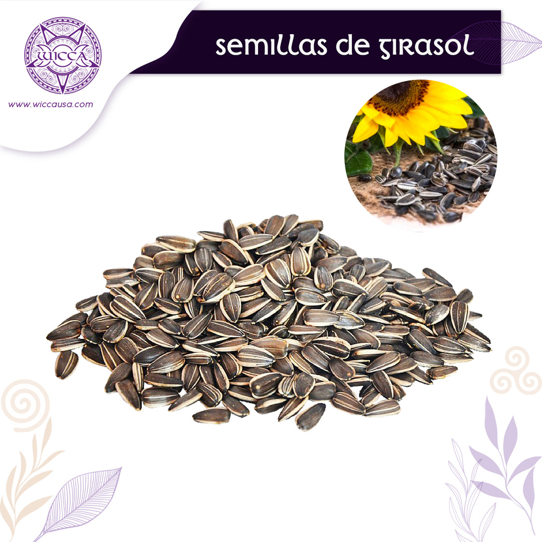 Herbalist: Sunflower Seeds
