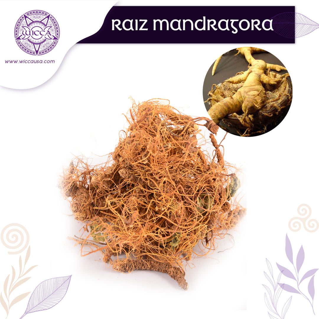 Herbalist: Mandrake Root