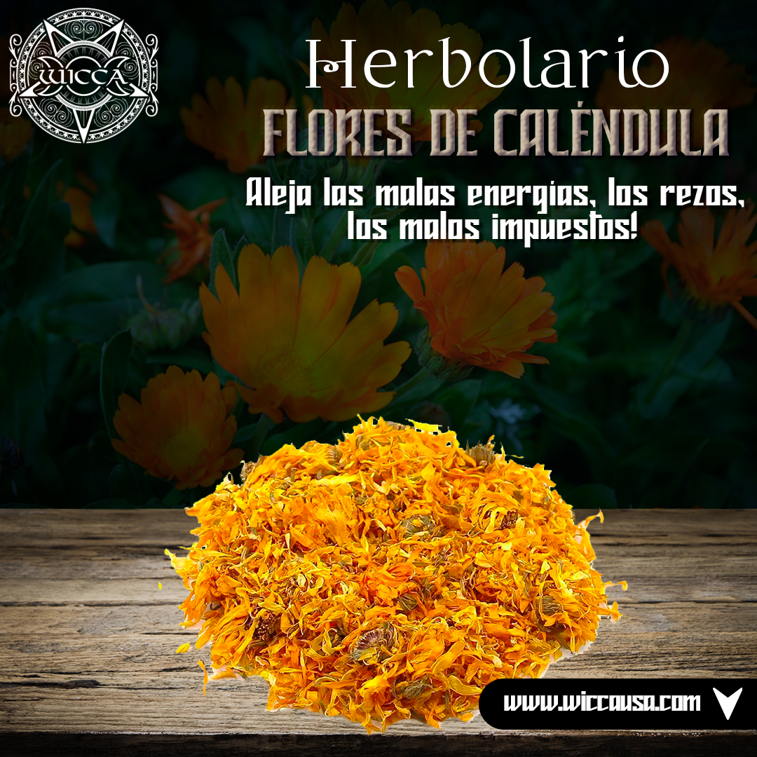 Herbalist: Enchanted Calendula: Magical Flowers
