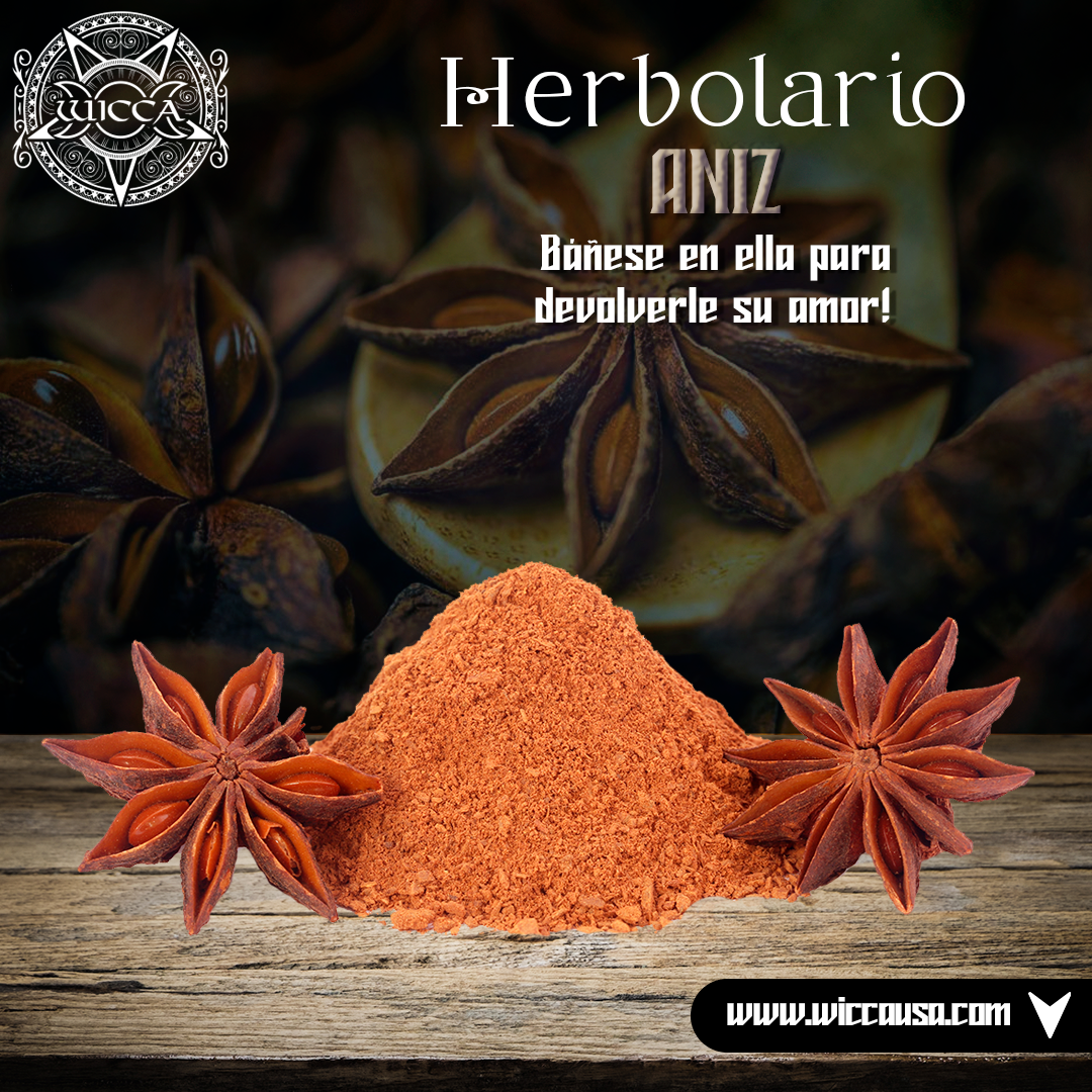Herbalist: Aníz: The Sacred Plant of Magic and its Incredible Properties