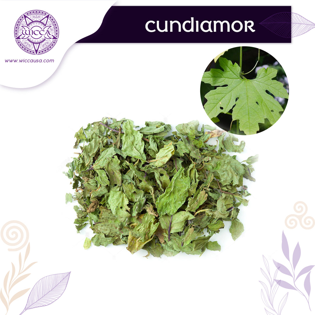 Herbalist: Cundiamor Plant