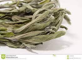 Herbalist: Sage: The sacred plant of purification and knowledge.(2oz)